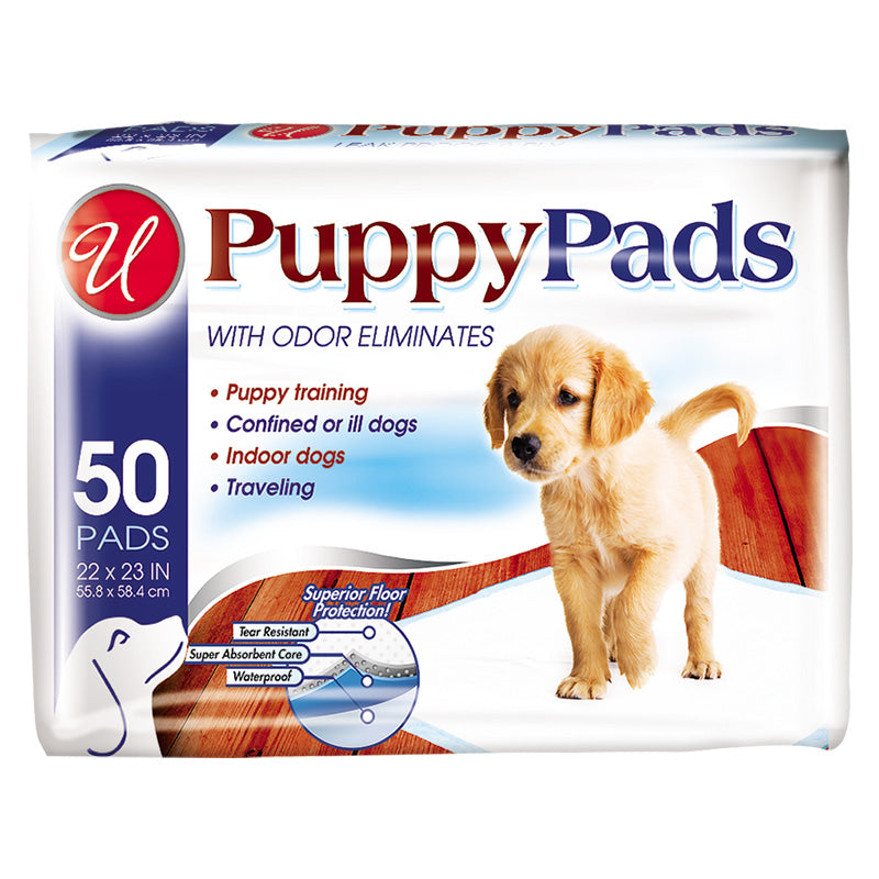 PET TRAINING PADS 100ct #80091 (22 x 23) (SKU #63217)