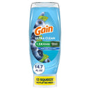 GAIN EZ-SQUEEZE DISH LIQUID 14.7oz  HONEYBERRY HULU (SKU