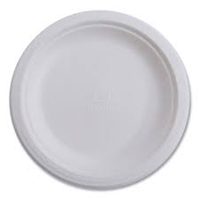 #RP10W WHITE SUGARCANE PLATE 10" 500ct (SKU #70821)